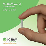 Salud rompecabezas – Multi-Mineral, esencial mezcla – Repone minerales y oligoelementos críticas