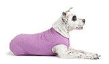 Camiseta para perro con protección UV, alivia la ansiedad de las mascotas, protege heridas, previene las colas de zorro, alopecia, lavable a máquina, para uso durante todas las estaciones, 28, Violeta