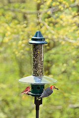 Squirrel Buster Plus - Comedero para pájaros a prueba de ardillas con anillo cardenal