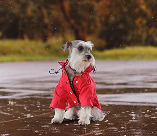 Morezi - Impermeable con cremallera y botones reflectantes para perro, para la lluvia, cordón ajustable, capucha extraíble, elegante y de primera calidad, tallas disponibles XCh a XXG