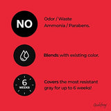 Kit de color tinte, negro natural, Godefroy