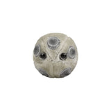 Peluches microbios HPV Papillomaviridae  de felpa