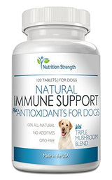 Support para perros más antioxidante 120 tabletas masticable