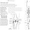 Libro - The Yoga Anatomy Coloring