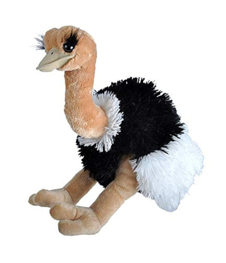Peluche de felpa Avestruz 12