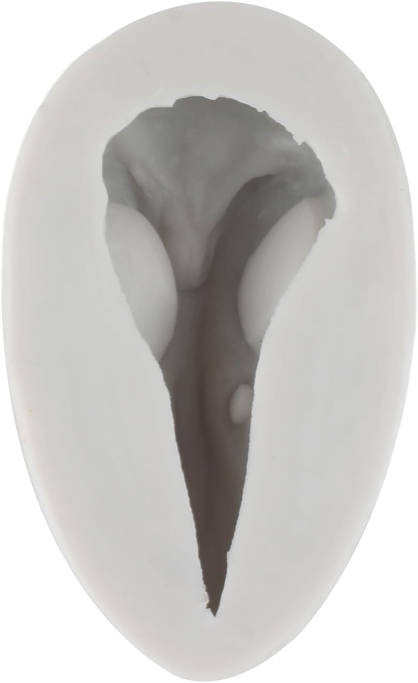 Molde de Silicona Calavera Cuervo para Decorar Pasteles - Halloween