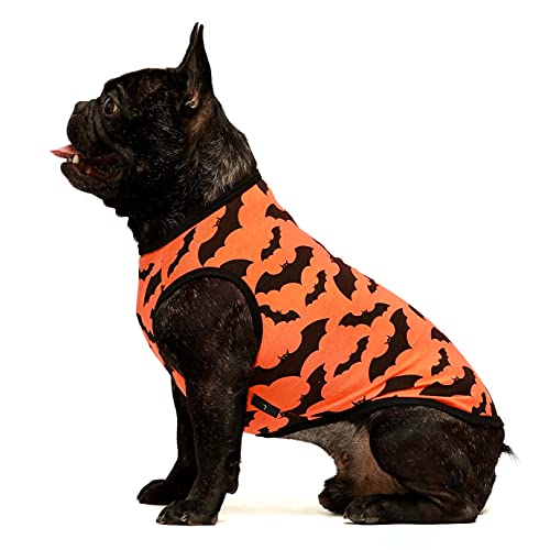 Fitwarm XOXO - Camisa de Pascua 100% algodón para perros, ropa romántica para perritos del 4 de julio, ropa patriótica para perros, camiseta para cachorros, chaleco para mascotas, camiseta sin mangas para gatos