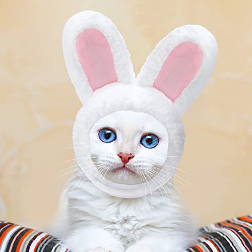 5 piezas de sombrero de gato adorable disfraz de conejo con orejas divertido sombrero de gato de melena para gatos y perros pequeños, gatito, cachorro, accesorio para fiesta de disfraces