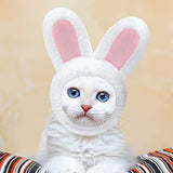 5 piezas de sombrero de gato adorable disfraz de conejo con orejas divertido sombrero de gato de melena para gatos y perros pequeños, gatito, cachorro, accesorio para fiesta de disfraces