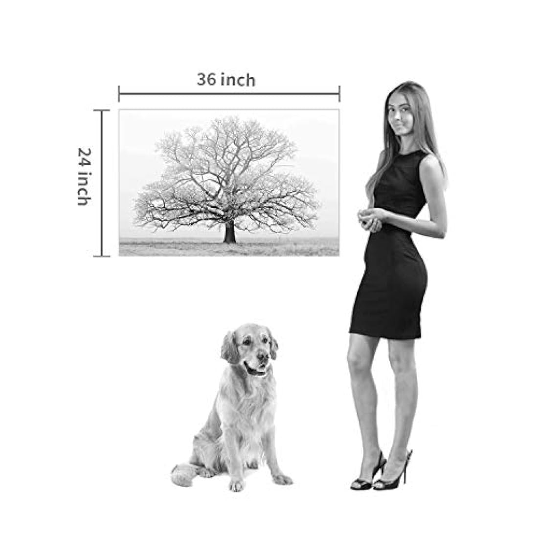 Lienzo decorativo para pared con diseño de bosque