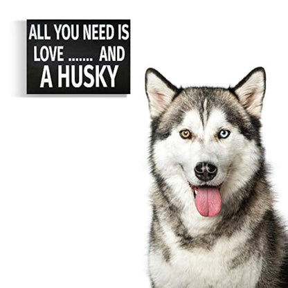 All You Need is Love and a Husky