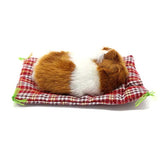 Peluche de felpa diseño de gato marrón con manta. Coolayoung