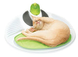 Centro de bienestar para gatos Senses 2.0