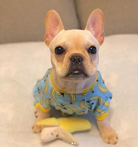 Pijama de perro CuteBone Pijamas de gato para perro