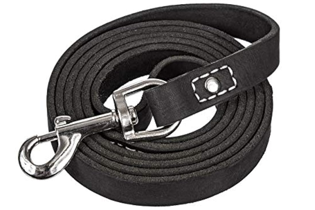 Correa de cuero para entrenamiento para perros