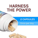 Host Defense® cápsulas respiratorias, 30, 1
