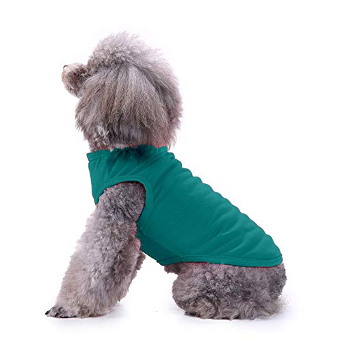 Chol&amp;Vivi - Camisetas para perro (2 unidades, talla pequeña, tamaño mediano, grande, extra grande, para perro, gato, algodón, suave y transpirable