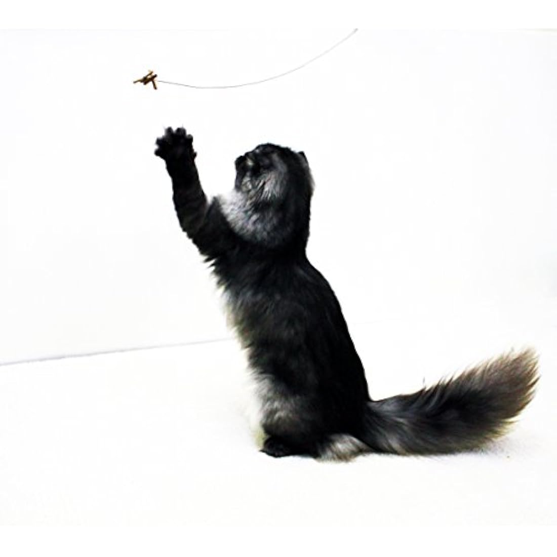 Cat Dancer 101 Cat Dancer Juguete interactivo para gatos