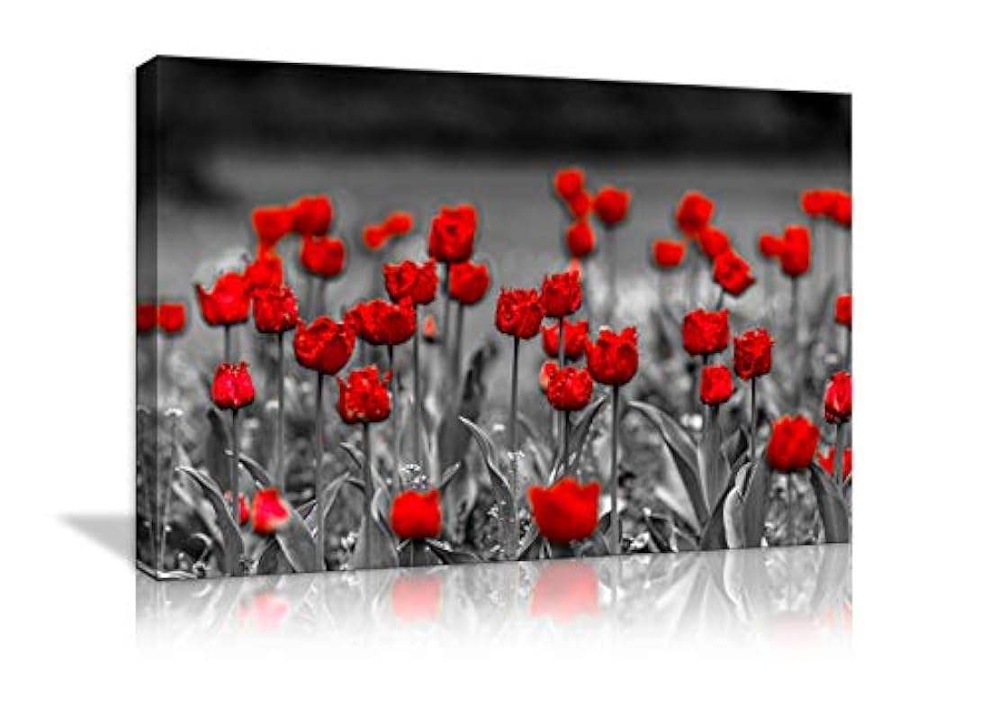 Lienzo decorativo con diseño de flores de amapolas rojas