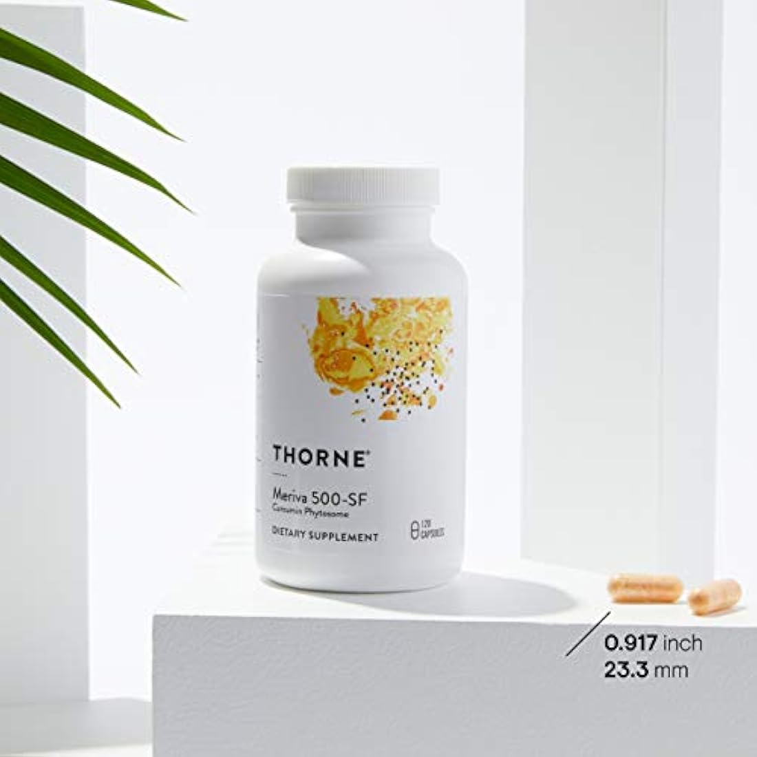 Thorne Research Suplemento fitórico de curcumina  120 cáp