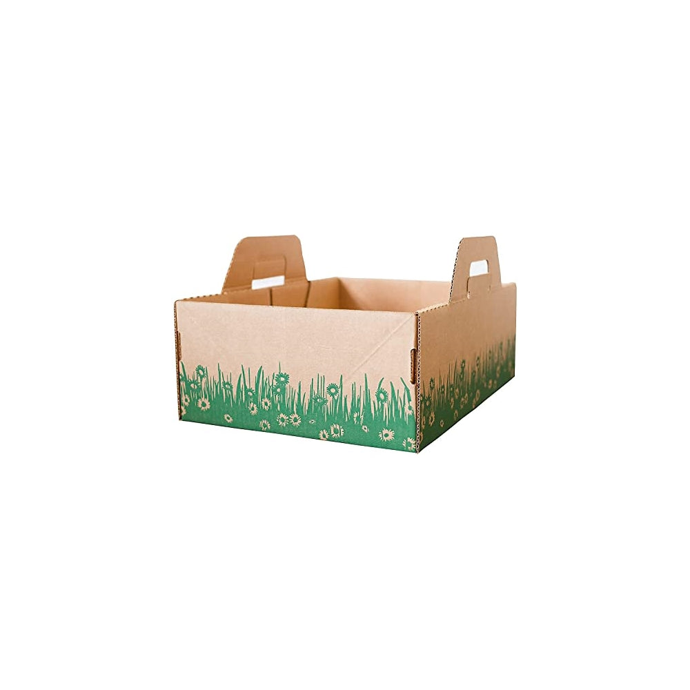 Cajas desechables Solución biodegradable  eliminación rápida