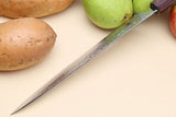 Cuchillo de chef japonés (46 capas)