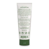Shampoos y acondicionadores para el cabello Champú orgánico