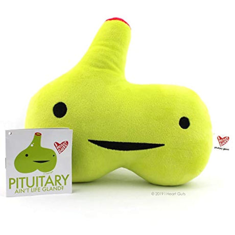 Peluche Glándula pituitaria