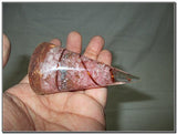 Exquisito Cuarzo Rosa Antena Orgone Cono Chakra Cristal