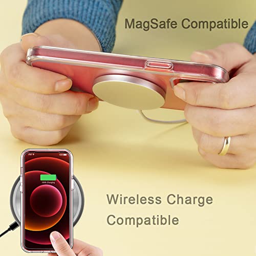 COOLQO - Funda transparente de silicona de cuerpo completo 360º a prueba de golpes, compatible con iPhone 12 / iPhone 12 Pro de 6.1 pulgadas [con 2 protectores de pantalla de vidrio templado]