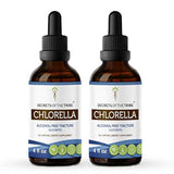 Chlorella Tintura alcohol-free Extracto de líquido Orgánica