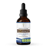 Motherwort Tintura alcohol-free Extracto de líquido