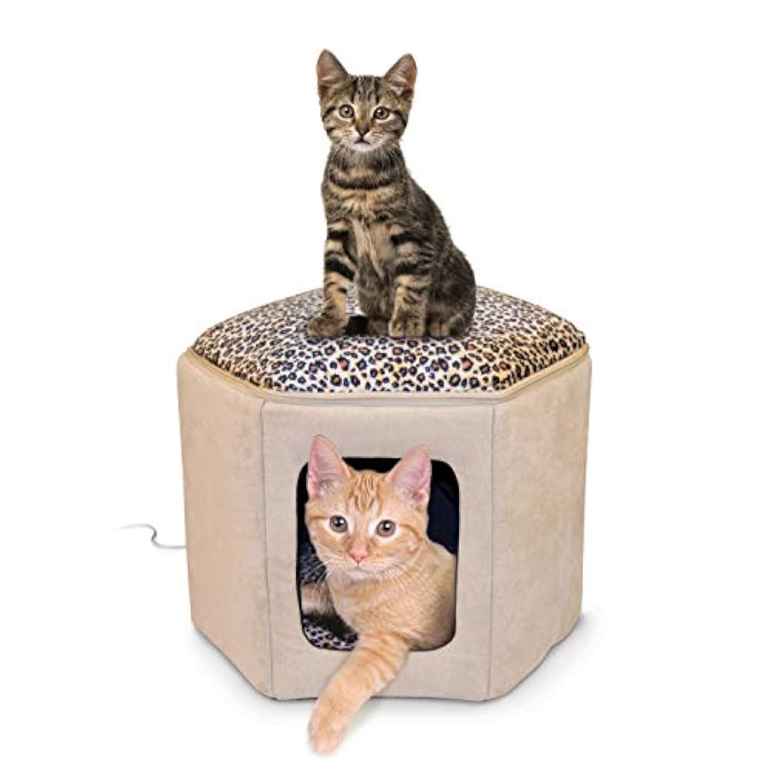 Casa para dormir de gatitos