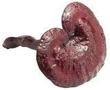 Cápsulas vegetarianas 450 mg  100 Cápsulas