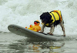 Chaleco salvavidas para perro con rayas reflectantes