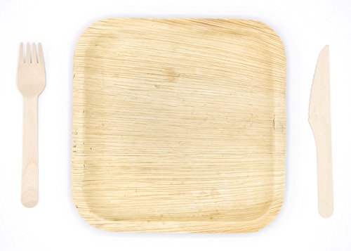JUEGO DE PLATO DE PAPEL