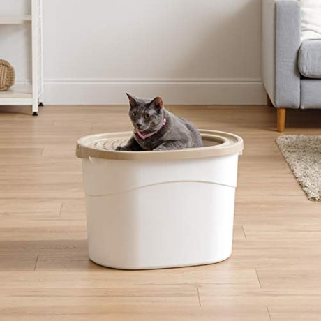 Caja de arena para gatos de entrada superior con pala