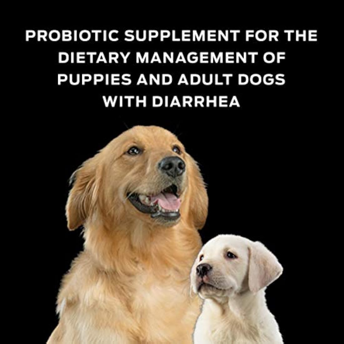Plan Dietas veterinarias Suplemento de probióticos p