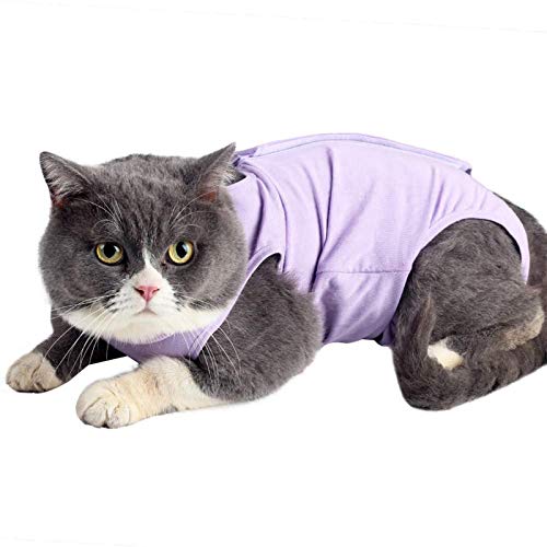kzrfojy Traje de recuperación de cirugía para gatos