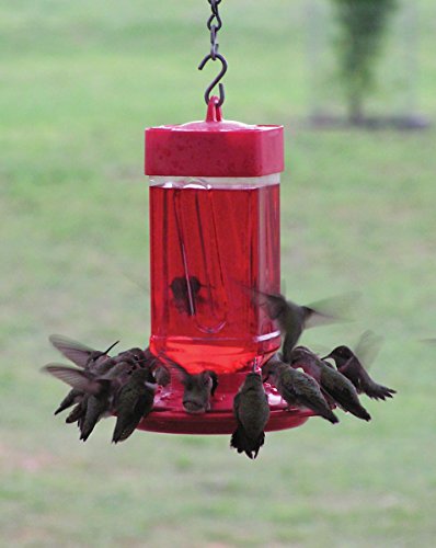 Bebedero para colibrí de 32 onzas 3055 de First Nature, Paquete de 1, Rojo