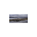 Sal marina de algas gourmet  hechos a mano 90 gr