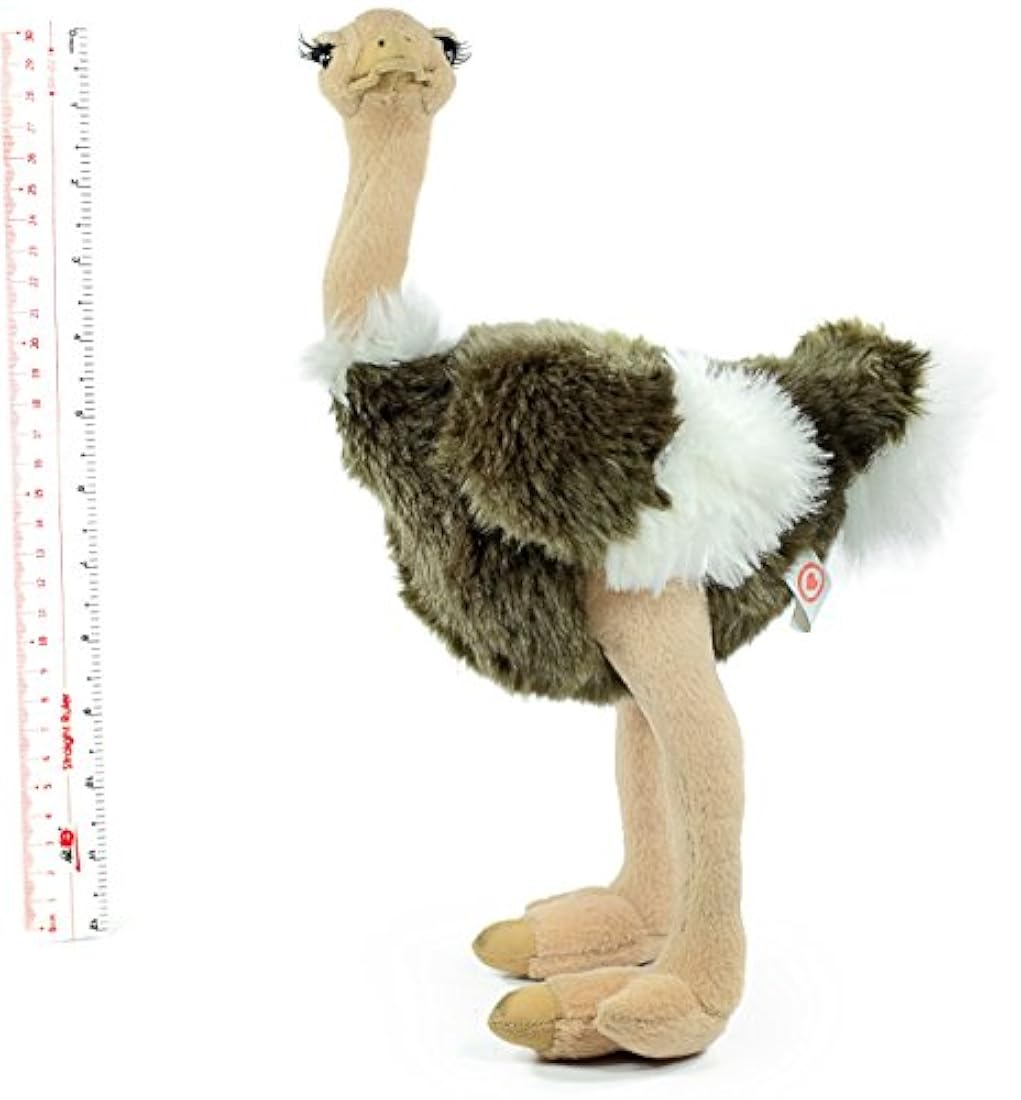 Peluches  Cuento de avestruz