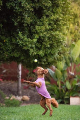 Camiseta para perro con protección UV, alivia la ansiedad de las mascotas, protege heridas, previene las colas de zorro, alopecia, lavable a máquina, para uso durante todas las estaciones, 28, Violeta
