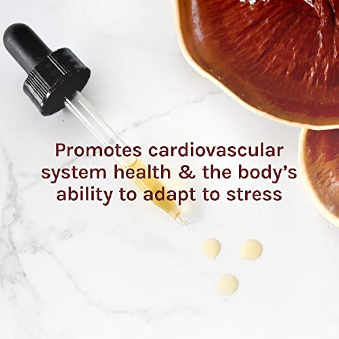 Host Defense - Extracto de Reishi apoya un corazón saludable
