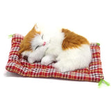 Peluche de felpa diseño de gato marrón con manta. Coolayoung