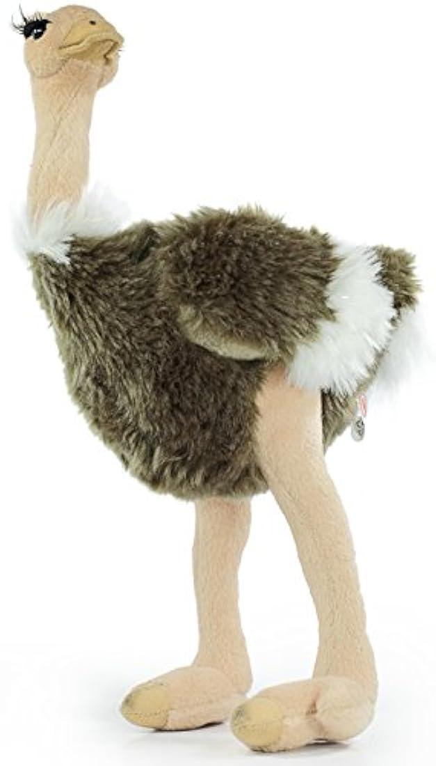 Peluches  Cuento de avestruz