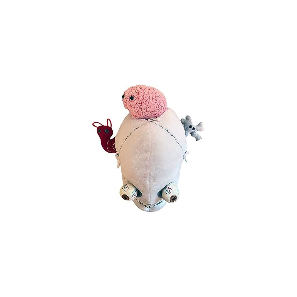 Peluches cráneo humano de adulto