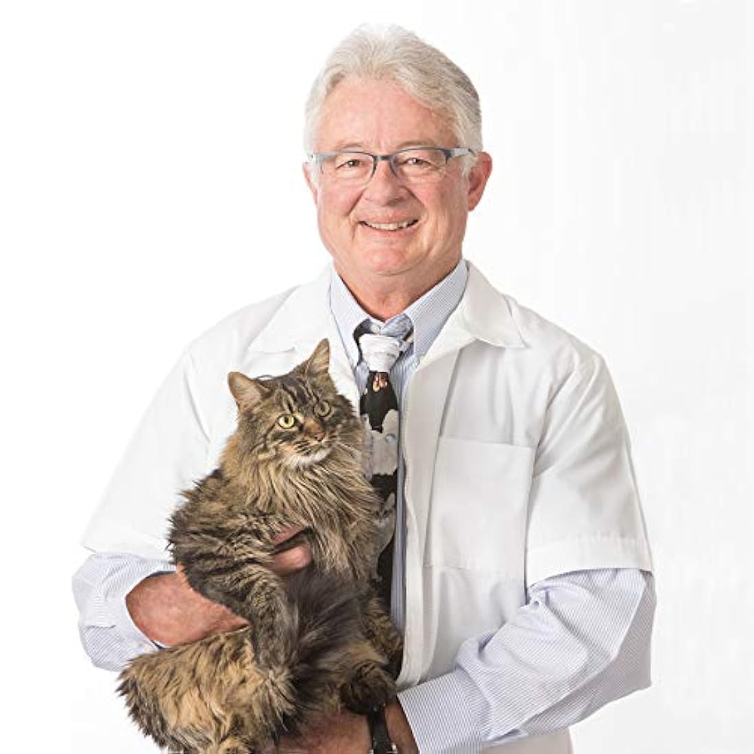 Precious Cat Dr. Elsey 's Senior Cat Litter, 8 libras.