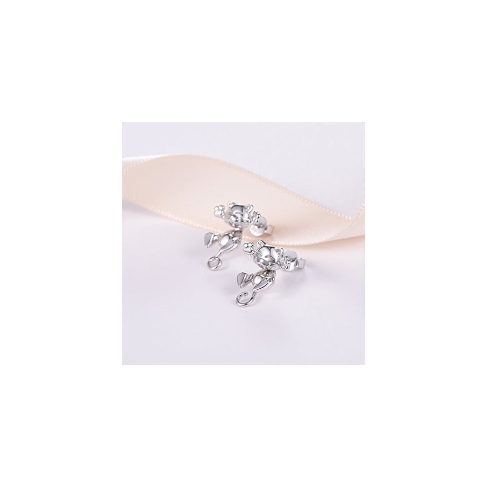 Aretes de plata con diseño para mujeres