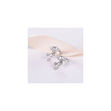 Aretes de plata con diseño para mujeres